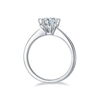 Dance Of Wind And Snow -